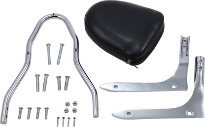 Engine sissy bar kit by Bill's Exhausts, shown on a motorcycle, featuring chrome finish and sturdy construction.