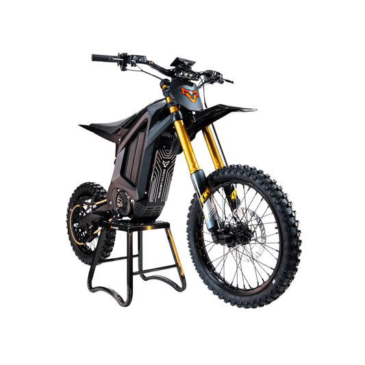 Arctic Leopard XF Electric Motorcycle