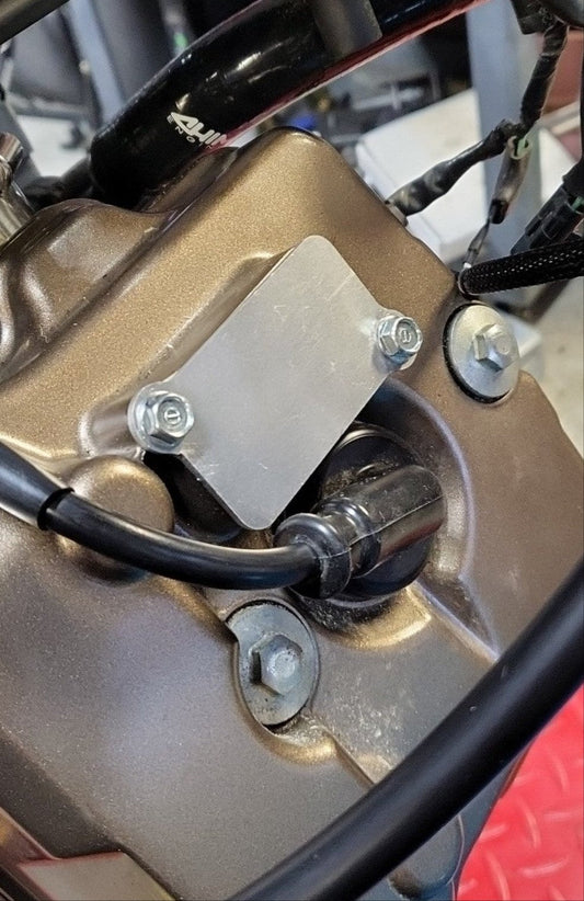 Air Injection Delete Plate - Howling Moto
