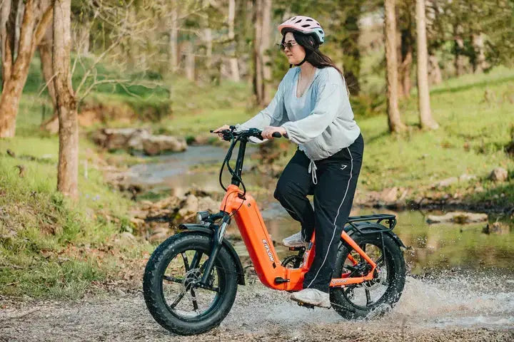 YOUNG Electric E-Flow 750W Folding eBike - Howling Moto