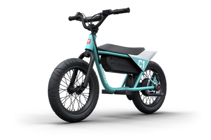 Himiway C1 Kids eBike - Howling Moto
