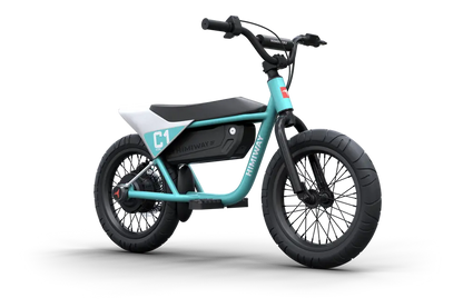 Himiway C1 Kids eBike - Howling Moto