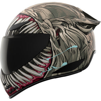Gray ICON Domain™ Helmet Grand Maw size XS by Bill's Exhausts, with detailed helmet design and matte finish.