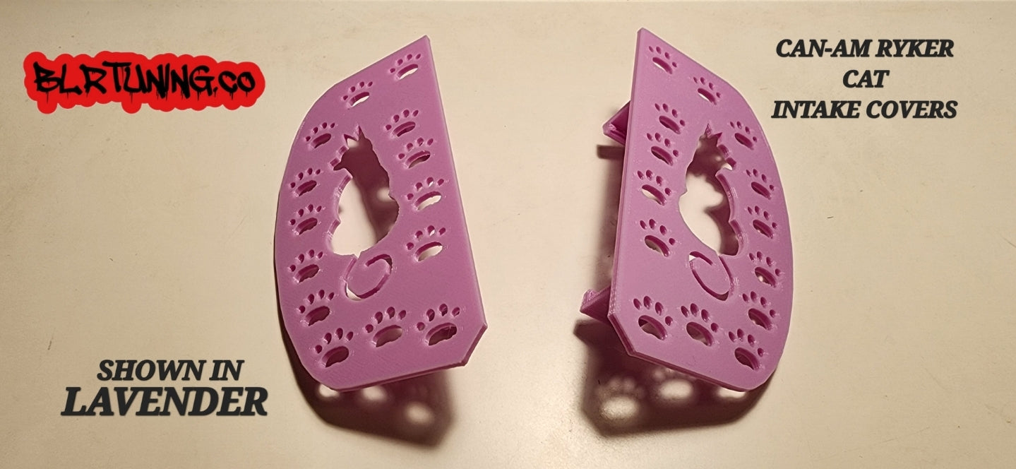 CAT CAN-AM RYKER INTAKE COVERS - Howling Moto
