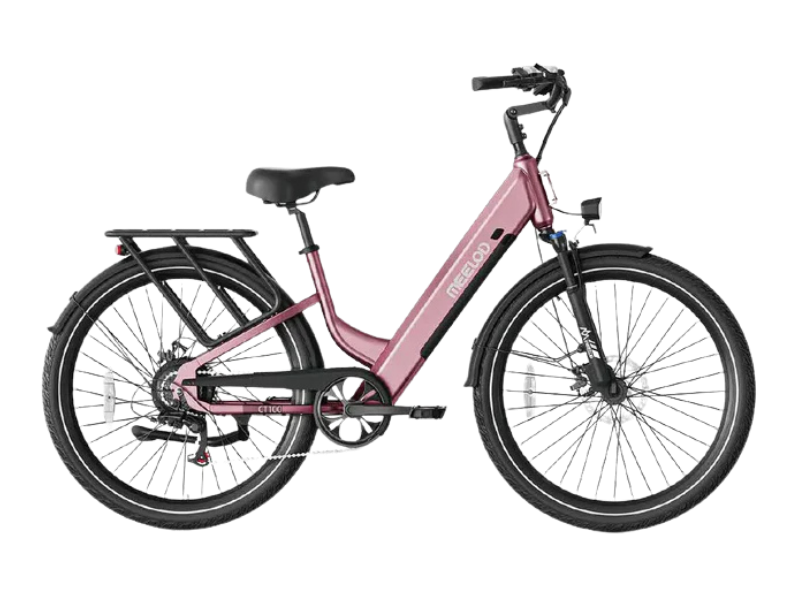 CT 100 | City Cruiser
