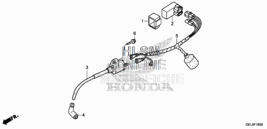 Honda XR/CRf50 Wire Harness