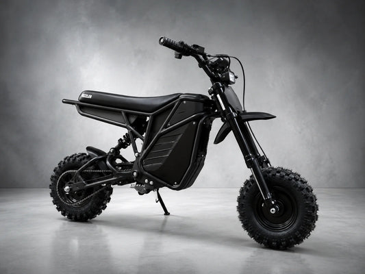 Electro & Co Rizzler Off-Road Electric Pit Bike – 5000W E-Moto