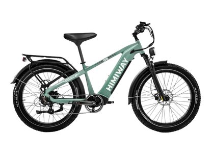 All-terrain eJOEbike D5(Zebra) electric fat bike with rugged tires and sturdy frame, suitable for off-road adventures.