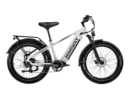 All-terrain electric fat bike D5(Zebra) by eJOEbike featuring thick tires and sturdy frame for off-road riding.