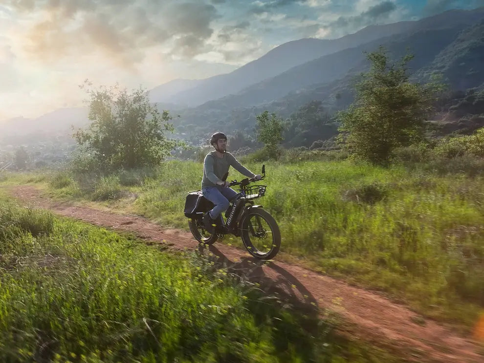 D5(Zebra) / All-terrain Electric Fat Bike - Howling Moto