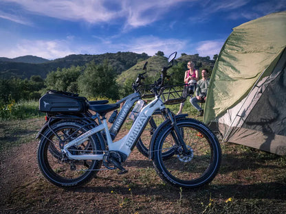 D5(Zebra) / All-terrain Electric Fat Bike - Howling Moto