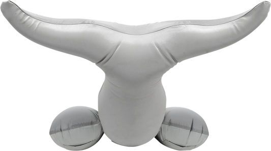 Bill's Exhausts Dolphin Riding Tube from AIRHEAD SPORTS GROUP, a colorful inflatable water towable with dolphin design.