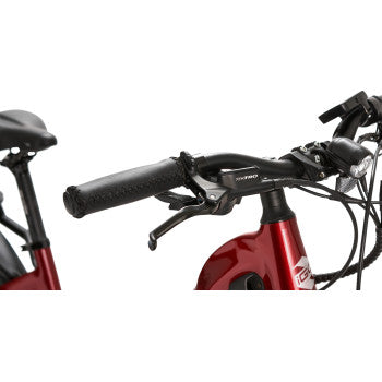 iGo Discovery LS E-Bike