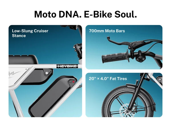 Heybike Titan Electric Bike | 750W Motor, Full Suspension, Up to 80 Miles