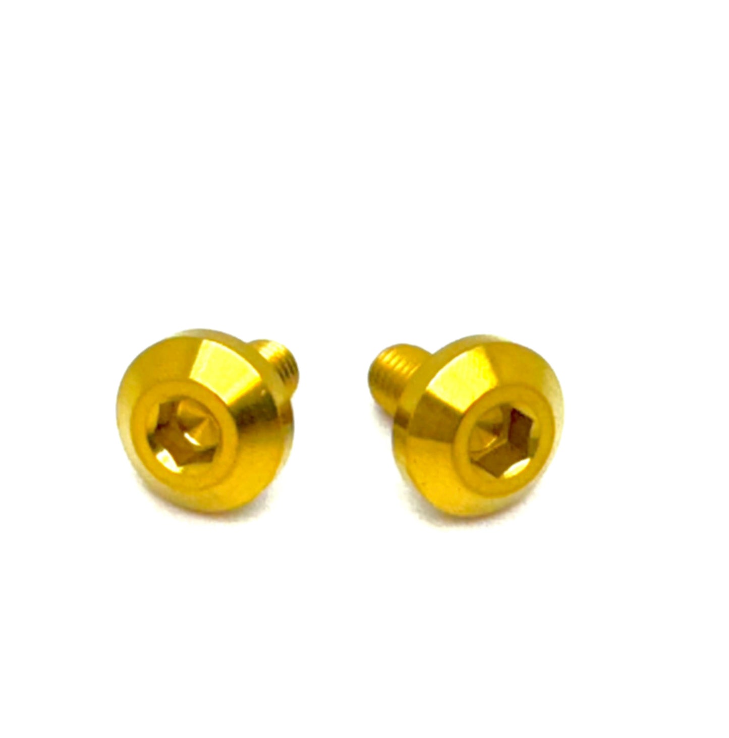 Titanium Battery Tray Bolts (Set of Two) Surron, Segway, E-Ride Pro - Howling Moto