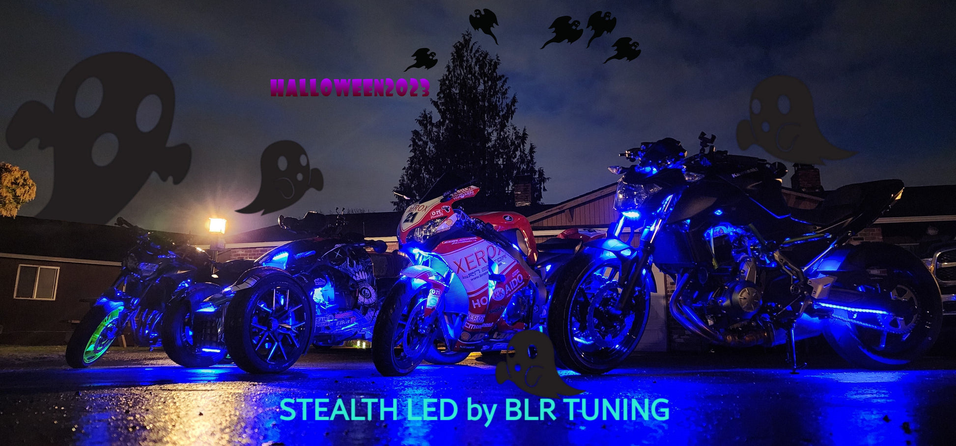 STEALTH LED CONTROL MODULE AND REMOTE - Howling Moto