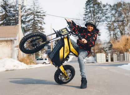 Heybike Villain electric dirt bike with mid-drive motor, displayed on rugged terrain, showcasing its robust design and off-road capabilities.
