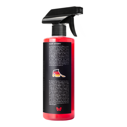 WASH&WHIPS Hockenheim Insect & Bug Removal - Howling Moto