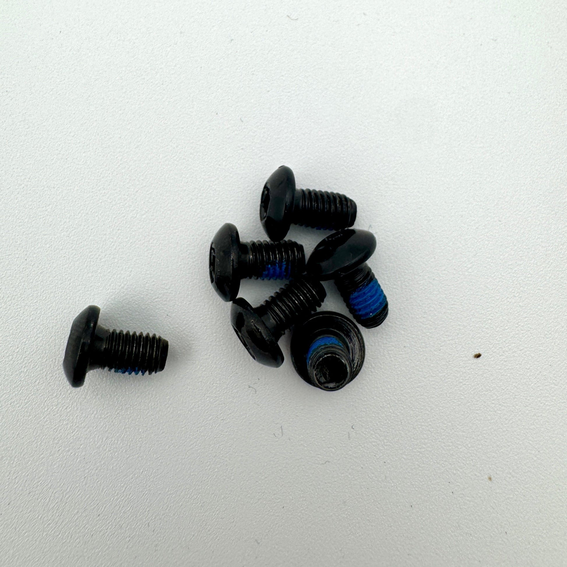 Warp9Racing M5X10-BHT Surron rotor bolt installed on motorcycle brake rotor with visible threading and bolt head.