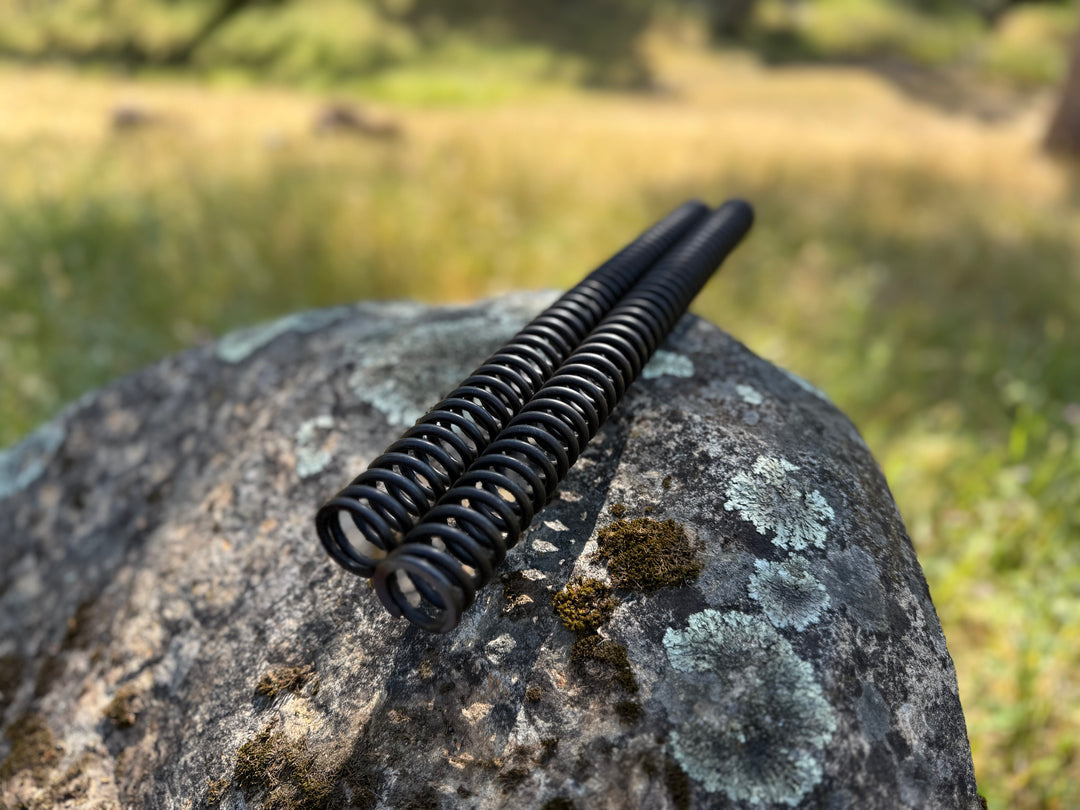 Electro & Co ETM RTR Mod Fork Springs for suspension upgrade, featuring stiff (+25%) or kids (-25%) options, shown on a motorcycle fork