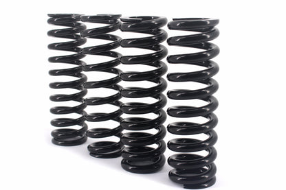 KKE 550LBS Rear Suspension Spring For SurRon Light Bee-X, Segway (Collective) - Howling Moto