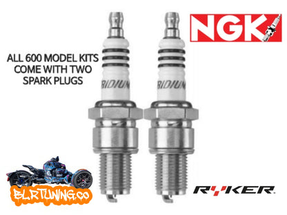 CAN-AM RYKER NGK IRIDIUM SPARK PLUGS FITS 2019 - 2025 600 900 RALLY SPORT - Howling Moto