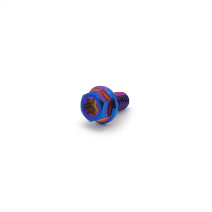 Titanium M6 bolts by Warp9Racing, 10mm length, showing the shiny, durable fasteners with threaded shafts and hex heads.