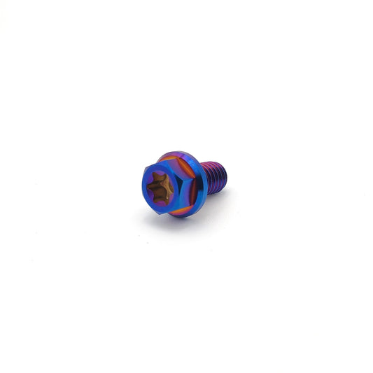 Titanium M6 bolts by Warp9Racing, 10mm length, showing the shiny, durable fasteners with threaded shafts and hex heads.