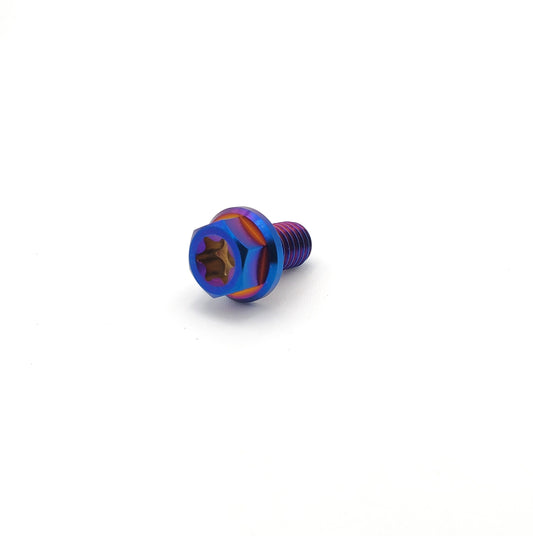 Titanium M6 bolts from Warp9Racing with 10mm length, showing the sleek, durable fasteners on a white background.