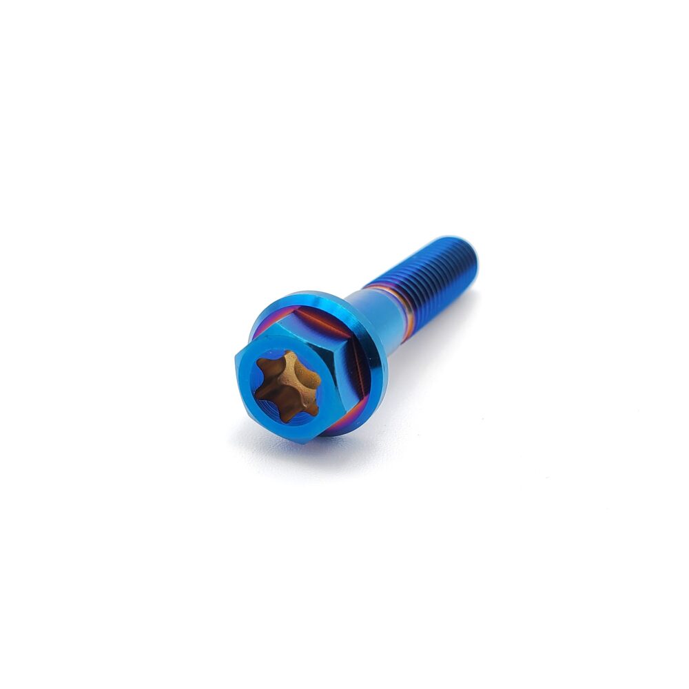 Titanium M6 bolts by Warp9Racing, 30mm length, set of five, showing shiny metallic finish and threaded design.