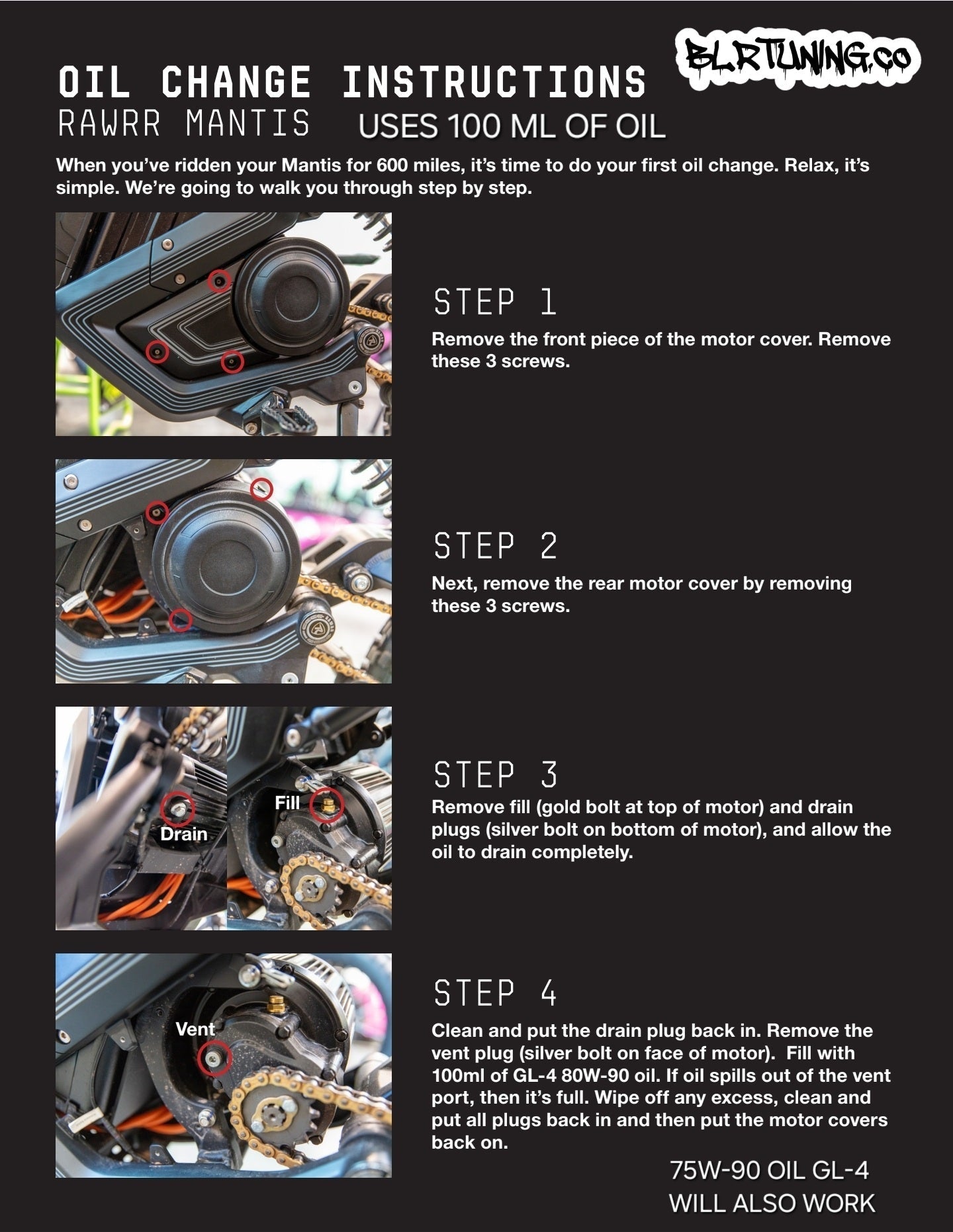 Electric Dirt Bike Gearbox Oil Change Kit – For RAWRR 72V Mantis - Mantis X - Mantis X Pro and More - Howling Moto