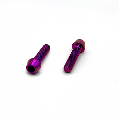 Titanium Caliper Bolts 2-Pack [M6x25mm] - Howling Moto