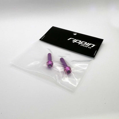 Titanium Caliper Bolts 2-Pack [M6x25mm] - Howling Moto