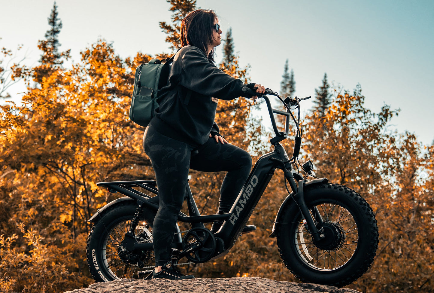 Revolt AWD Step Thru Bike