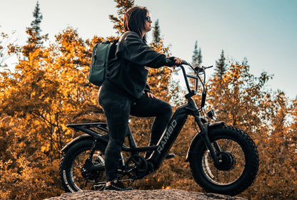 Revolt AWD Step Thru Bike
