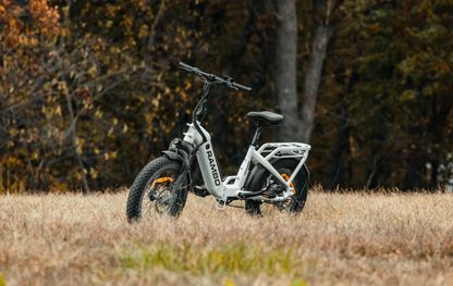 Ranger Folding E-Bike