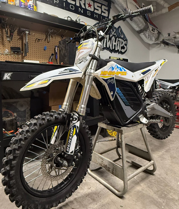 Electro & Co ETM RTR 13KW Trumoto 6+7 Mod Powertrain Kit showing engine components and wiring assembly.