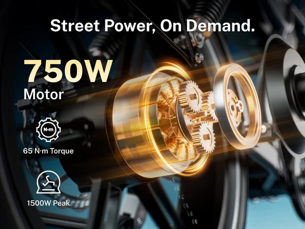 Heybike Titan Electric Bike | 750W Motor, Full Suspension, Up to 80 Miles