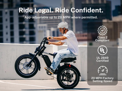 Heybike Titan Electric Bike | 750W Motor, Full Suspension, Up to 80 Miles