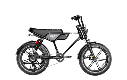 Heybike Titan Electric Bike | 750W Motor, Full Suspension, Up to 80 Miles