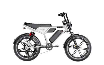 Heybike Titan Electric Bike | 750W Motor, Full Suspension, Up to 80 Miles