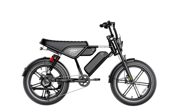 Heybike Titan Electric Bike | 750W Motor, Full Suspension, Up to 80 Miles