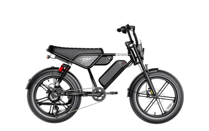 Heybike Titan Electric Bike | 750W Motor, Full Suspension, Up to 80 Miles
