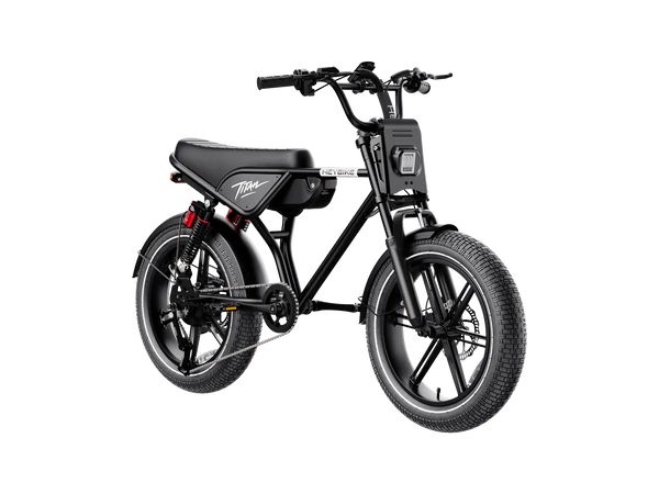 Heybike Titan Electric Bike | 750W Motor, Full Suspension, Up to 80 Miles
