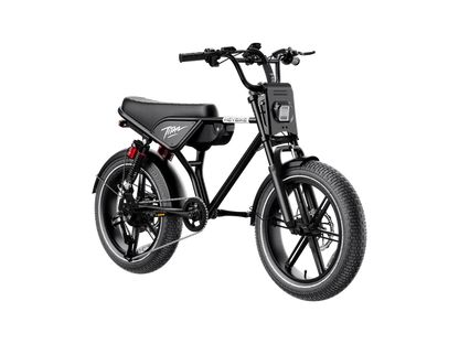 Heybike Titan Electric Bike | 750W Motor, Full Suspension, Up to 80 Miles