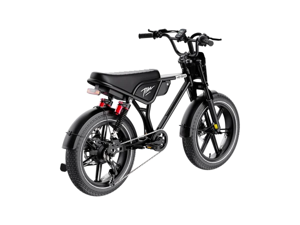 Heybike Titan Electric Bike | 750W Motor, Full Suspension, Up to 80 Miles