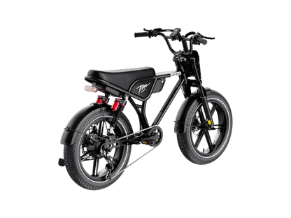 Heybike Titan Electric Bike | 750W Motor, Full Suspension, Up to 80 Miles