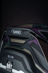 Shoei X-Fifteen Valion Helmet | Race-Ready Full Face | DOT/Snell M2025R/ECE R22.06