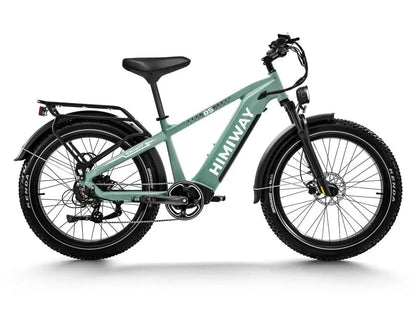 D5(Zebra) / All-terrain Electric Fat Bike - Howling Moto