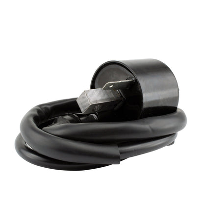 RM STATOR external ignition coil part RM06158, a plug-and-play replacement, shown in the image with connection terminals and coil body.